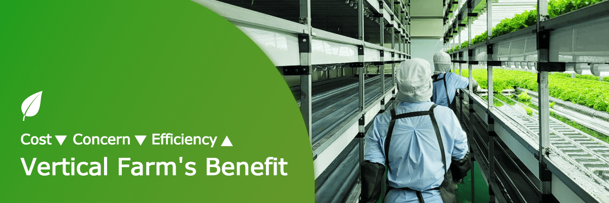 Blooming Innovation of Agriculture in City: Vertical Farm