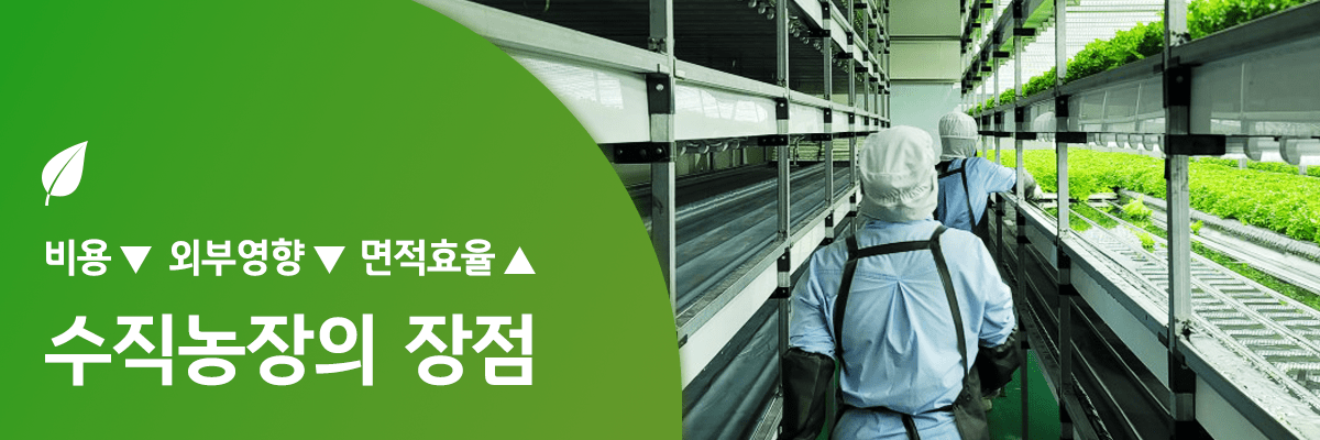 수직 농장, 도시 속에서 피어나는 농업의 혁신