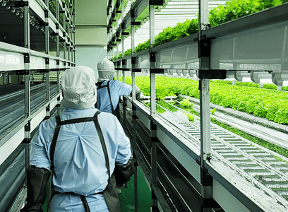 Blooming Innovation of Agriculture in City: Vertical Farm