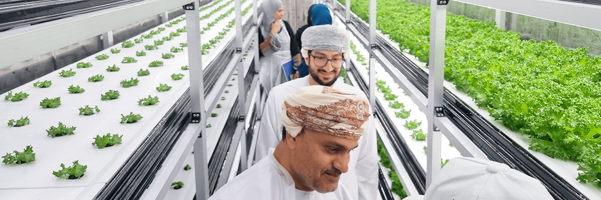 People observing the cultivation environment inside a vertical smart farm facility.