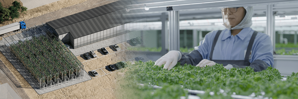 Korea Accelerates Vertical Farming Growth Through Strategic Policies