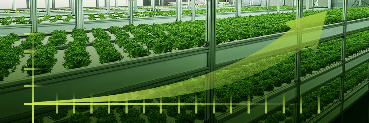 vertical farming captures global attention