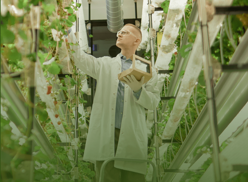 Vertical Farming: The Time for R&D and Growth Has Arrived